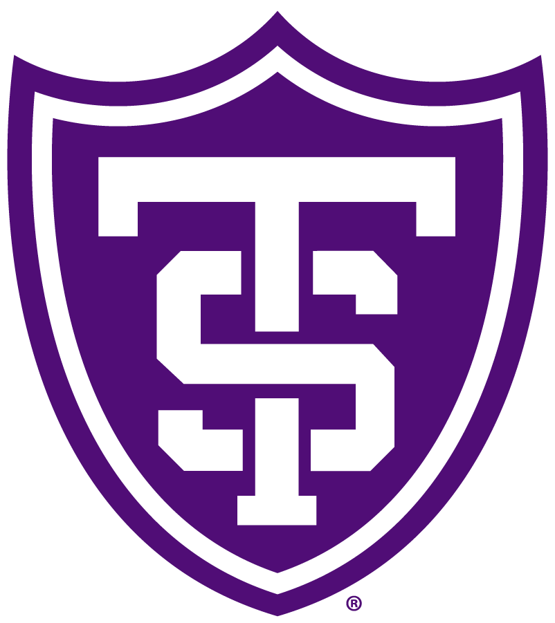 St. Thomas Tommies 2009-Pres Primary Logo iron on transfers for T-shirts